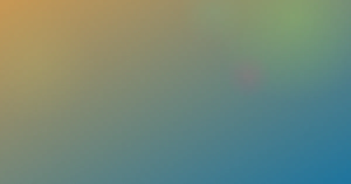 动画攻略：新手怎么选路线